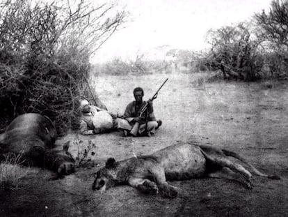 Dimitri Ghika, con su escopetero, retratados por su hijo junto a la peligrosa leona abatida durante su safari.