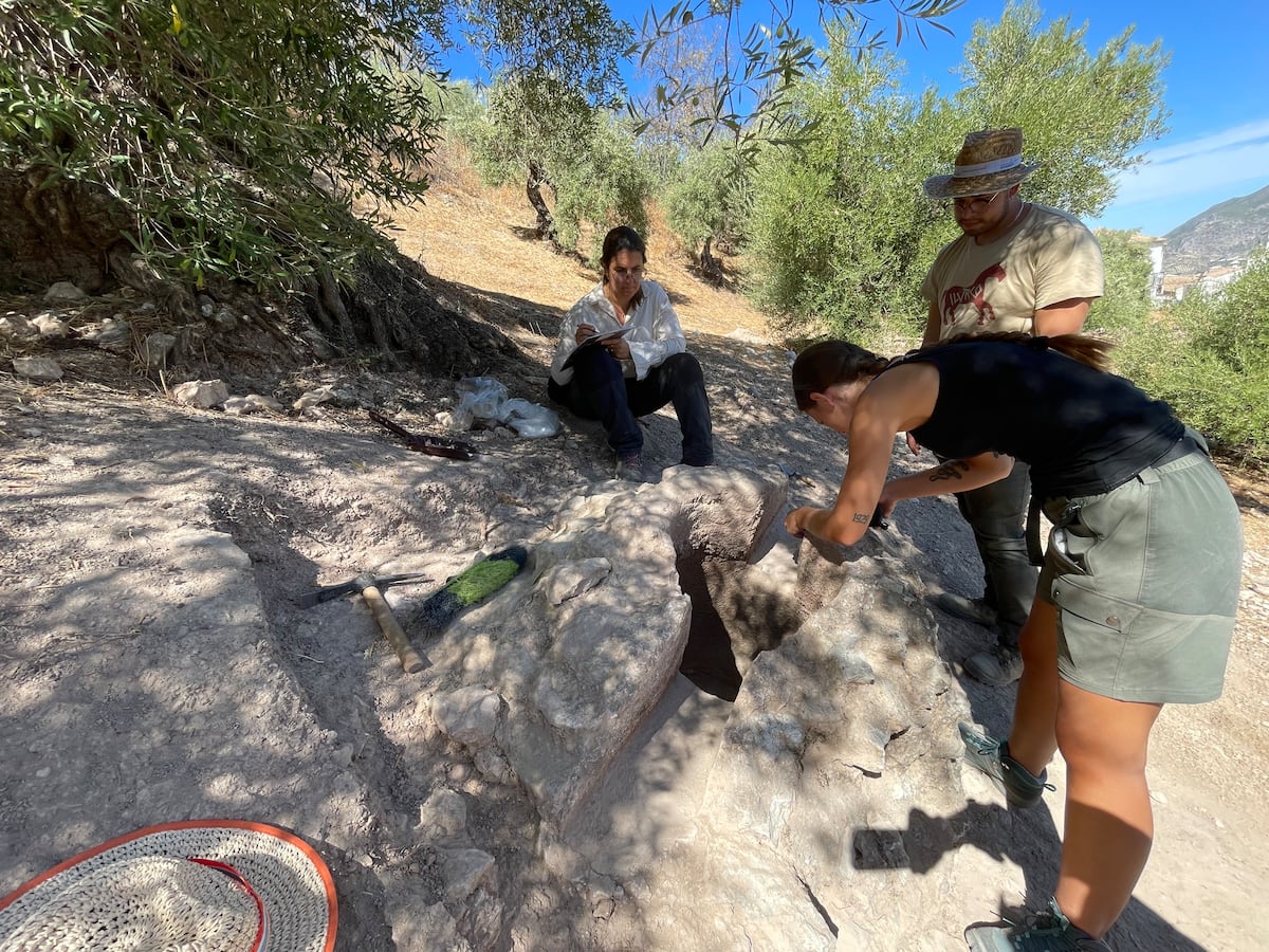 Un acueducto romano para reescribir la historia de un pueblo blanco de la Sierra de Cádiz