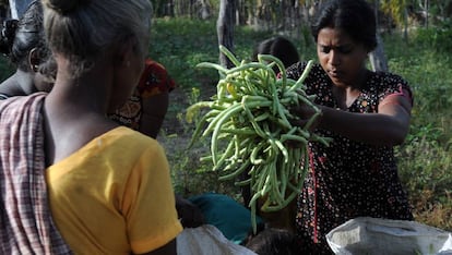 Un grupo de agricultoras de Sri Lanka.