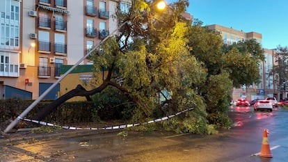 Imagen de los daños provocados por la borrasca Domingos en Lepe (Huelva). 

