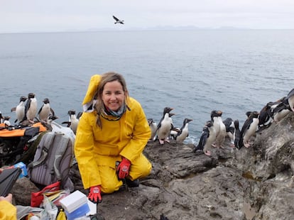 Juliana A. Vianna, recogiendo muestras de pingüinos papúa en la Antártida.