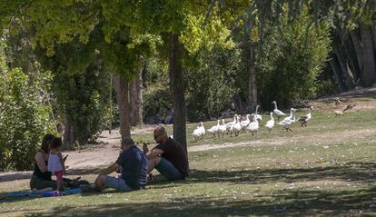 El parque del Soto, en Móstoles.