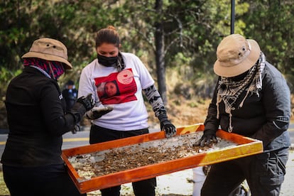 Jaqueline Palmeros (en el centro) buscó durante más de cuatro años a su hija Monserrat Uribe Palmeros, desde su desaparición en 2020, en Iztapalapa, en Ciudad de México. Sus restos han sido localizados en el Ajusco, en el sur de la capital, tras varias búsquedas que la madre llevó a cabo al lado del colectivo que ella misma fundó ‘Una luz en el camino’. En la imagen, Jaqueline y algunos compañeros analizan una muestra de tierra en el lugar donde fueron localizados los restos.