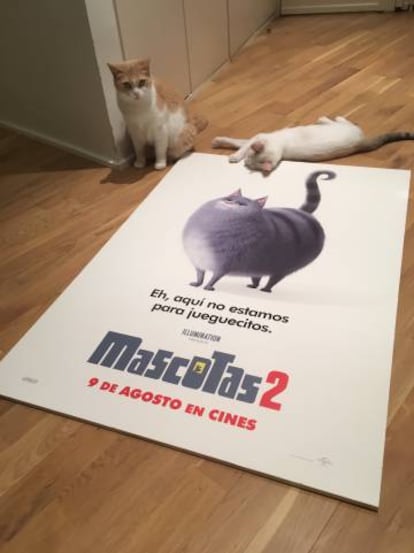Mías y Atún posan con el cartel de 'Mascotas 2'.