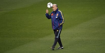 El seleccionador español, Vicente Del Bosque.