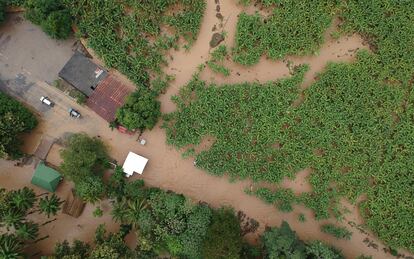 Vista de una finca bananera en Izabal, Guatemala, tras las inundaciones por el huracán Iota.