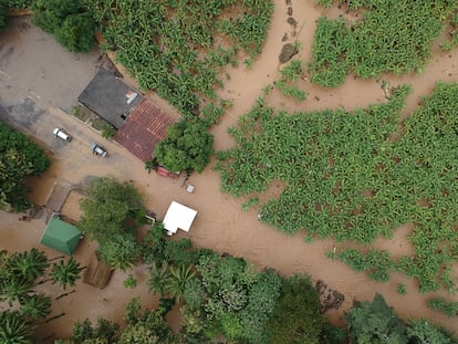 Vista de una finca bananera en Izabal, Guatemala, tras las inundaciones por el huracán Iota.