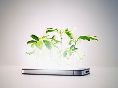 Naturaleza creciendo de un 'smartphone' (teléfono inteligente)