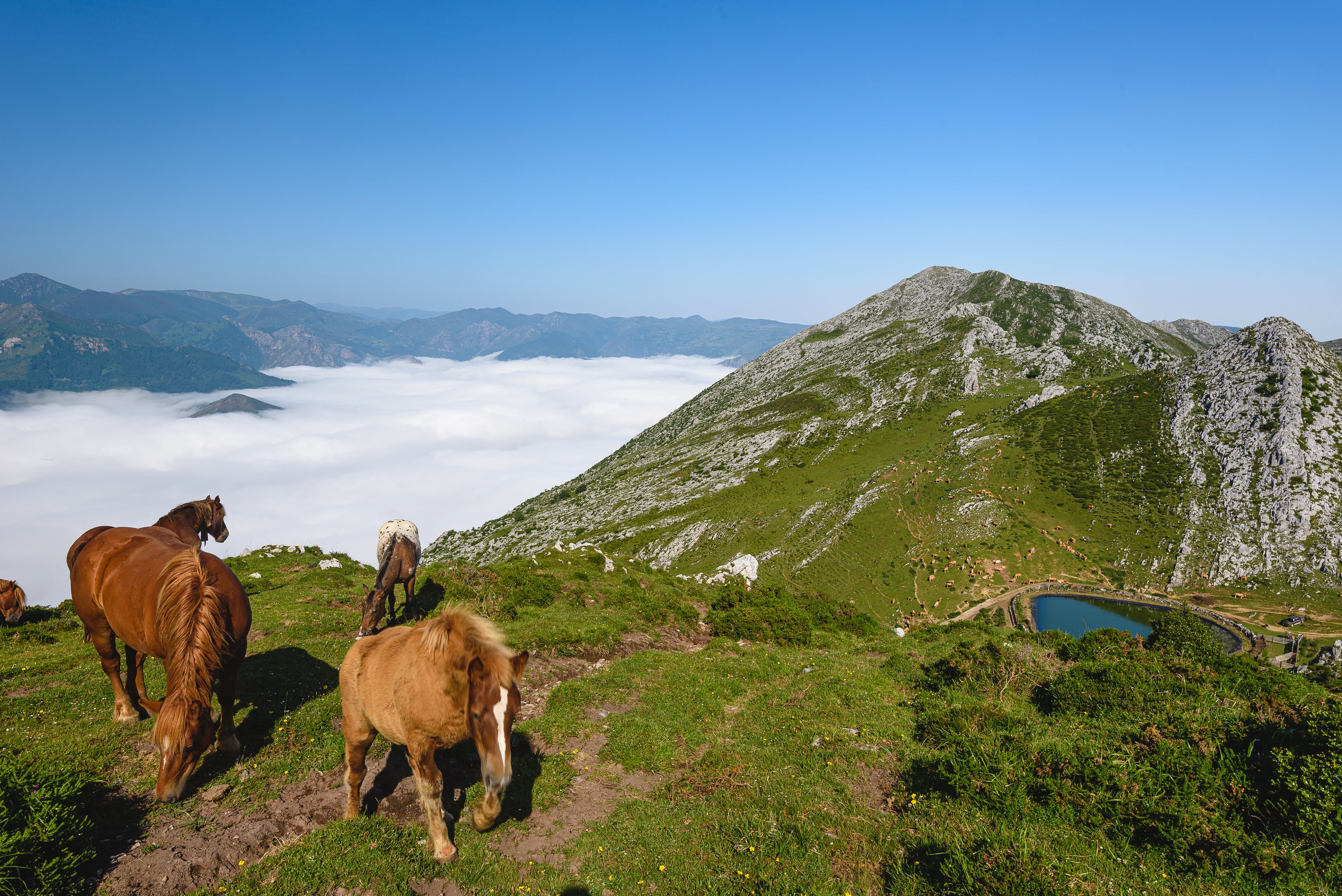 Lo que no puedes perderte si vas a Asturias de vacaciones este verano