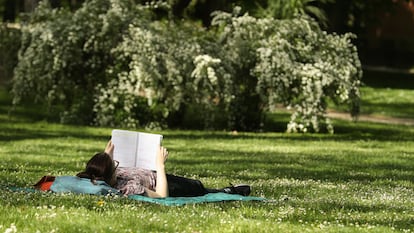 Una persona lee al sol en el Retiro, en Madrid, el pasado viernes.