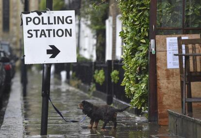 Un perro espera bajo la lluvia a la puerta de un colegio electoral en Londres (Reino Unido).