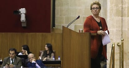 Carmen Martínez Aguayo, en una sesión del Parlamento.