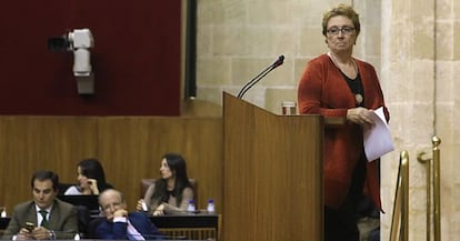 Carmen Mart&iacute;nez Aguayo, en una sesi&oacute;n del Parlamento.