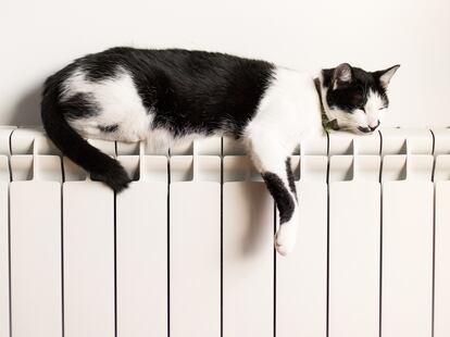 Un gato encima de un radiador.