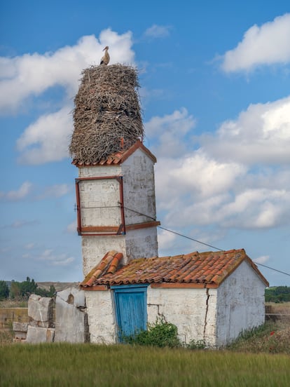 Un nido de varias generaciones de cigüeñas, en Santillán del Agua (Burgos). Un tensor evita el derrumbe de la construcción.