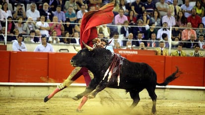 El torero Seraf&iacute;n Mar&iacute;n en la plaza Monumental de Barcelona.