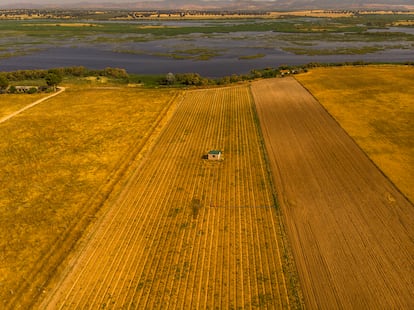 Vista aérea de una finca agrícola limítrofe con el parque nacional. La sobreexplotación del acuífero provoca que se consuman 400 hectómetros cúbicos de media anual, el doble del recurso disponible.