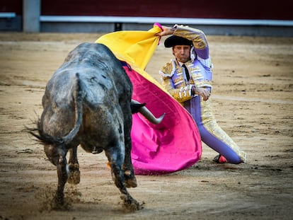 Alberto Lamelas recibe de rodillas a uno de sus toros.