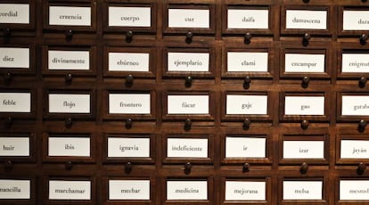 Armario de la Real Academia Espa&ntilde;ola (RAE) donde se almacenan fichas de palabras sobre las que se debate.