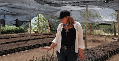 Janeth Canchano muestra el área de germinación de las especies de árboles empleadas en el proyecto de reforestación de los bosques de su comunidad. 