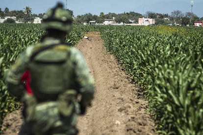 Un militar resguarda la escena de un crimen en Navolato, Sinaloa.