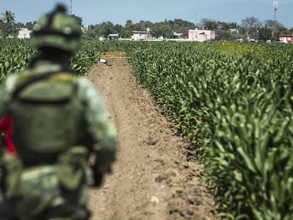 Un militar resguarda la escena de un crimen en Navolato, Sinaloa.