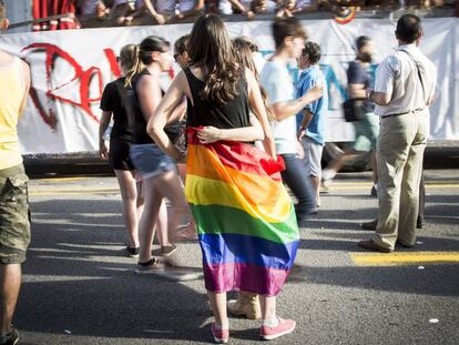 Manifestaci&oacute;n del Orgullo Gay de 2014.