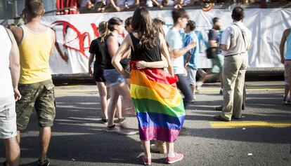 Manifestaci&oacute;n del Orgullo Gay de 2014.