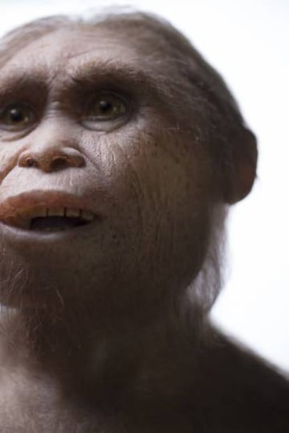 Reconstrucción del 'Homo floresiensis'.