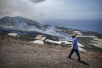 El agricultor Antonio Ángel Brito, de 69 años, contempla la llegada de la nueva colada de lava a su finca de plataneras en La Laguna.