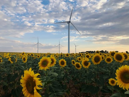 Imagen de los molinos en un parque de energía eólica en una fotografía cedida por Iberdrola.