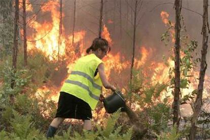 Más de 3.000 bomberos han sido movilizados para combatir las llamas, aunque numerosos voluntarios trabajan en la extinción de incendios.