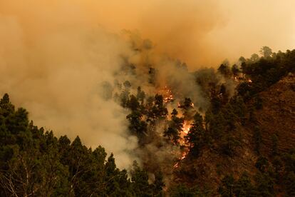 El incendio forestal en el término tinerfeño de Candelaria, en una imagen del miércoles. 