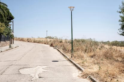 Una calle mal asfaltada y con farolas sin luz en la urbanización Campodón.