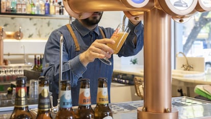 Un hostelero sirve una cerveza en un bar