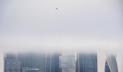 Un pájaro vuela frente a los rascacielos del Centro Internacional de Negocios de Moscú (Rusia).