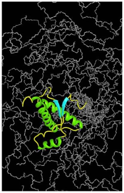 El prion de vaca y el humano son casi idénticos.