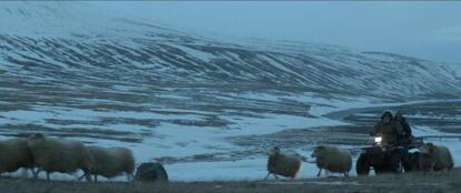 Un fotograma de 'Rams (El valle de los carneros)'.