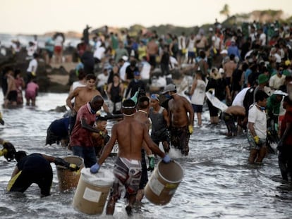 Na Pedra de Xaréu, Cabo de Santo Agostinho, Pernambuco, uma multidão de voluntários se organiza como pode para retirar o óleo da praia