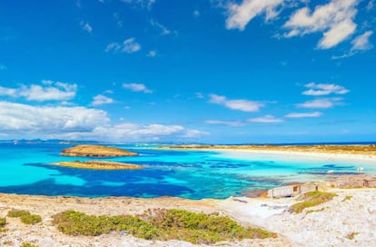 Qué mejor que este verano de menor presencia internacional para conocer Ses Illetes, playa que despierta una mezcla de fascinación y envidia cuando es escrutada por cuantos barcos procedentes de la isla de Ibiza ponen rumbo al puerto de La Sabina. Lo mejor es desplazarse después en bicicletas o motos eléctricas, portando agua y comida salvo que hayamos reservado en alguno de los locales (es conveniente consultar antes sus precios para evitar sorpresas). <a href="https://elviajero.elpais.com/elviajero/2018/06/21/actualidad/1529580906_449405.html" target="_blank">Formentera</a> merece una visita solo por contemplar estas aguas de un azul como zafiro gracias a la depuración generada por kilómetros de praderas de posidonia. Ses Illetes, además, exige especiales mimos al estar integrada en el parque natural de las Salinas de Ibiza y Formentera. A su espalda, la playa de Llevant atrae a quienes buscan menos micromundo de hedonismo y más reposo, muchas veces tal y como vinieron al mundo. Tras la experiencia playera podremos acercarnos a los <a href="https://elviajero.elpais.com/elviajero/2020/06/18/actualidad/1592480434_826944.html" target="_blank">nuevos paneles-observatorios ornitológicos</a> instalados alrededor del humedal del Estany Pudent.