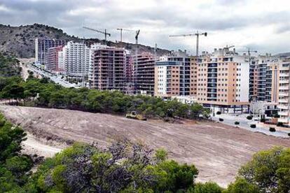 Zona de pinos talada en la Cala, en La Vila Joiosa.