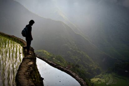 Un anfiteatro de arrozales en cascada, en Batad, un pequeño pueblo a 300 kilómetros al norte de Manila (Filipinas), en la provincia de Ifugao.