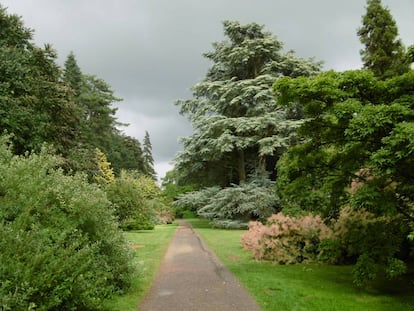 Arboreto de Westonbirt, Inglaterra.