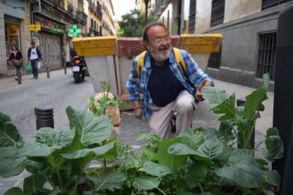 Juan Pérez con su perra Alaska en la calle Pez.