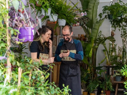 Tu vecina del 2ºD, esa tan maja, va a matar a tus plantas este verano: así puedes evitarlo