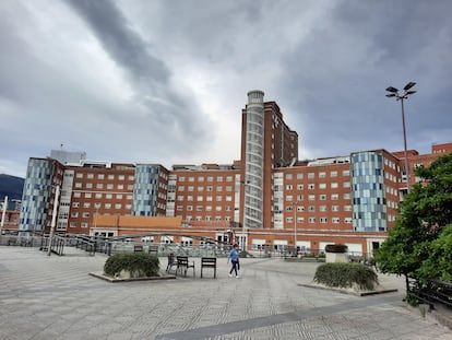 Hospital de Cruces, en Barakaldo (Bizkaia).