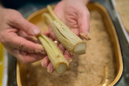 Cocinado del cardo frito, una receta tradicional siciliana. 