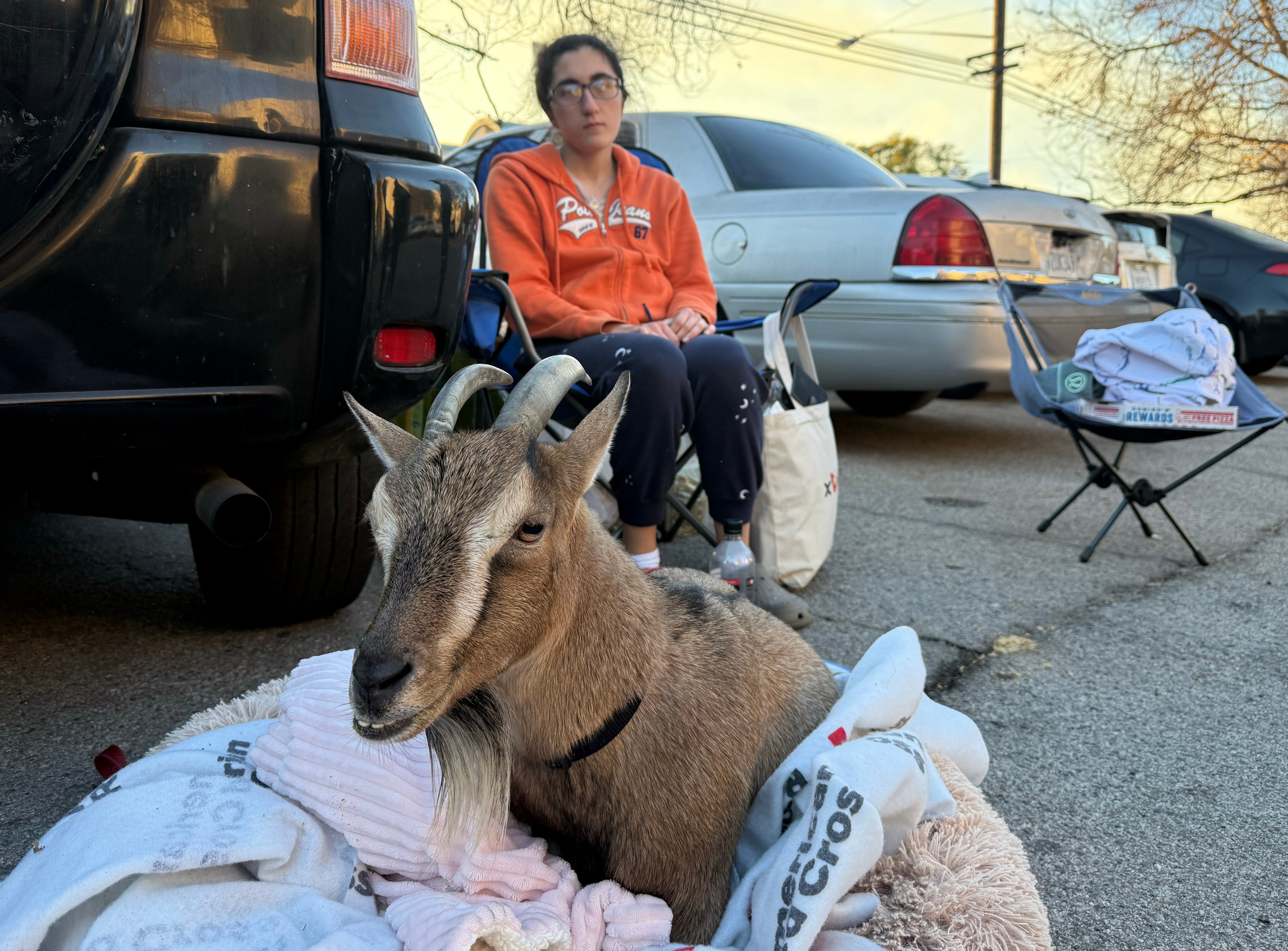 Rezvon, 24 años, con la cabra 'Coco', que salvó al escapar del incendio, y que tenía como mascota; en el albergue de Westwood para afectados por el incendio de Palisades. 