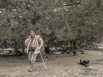 José María Alarcón tiene 55 años. Habla con su mujer por el móvil en una de las pocas zonas donde encuentra cobertura. Es pastor. Pero hay que olvidar la idea del que pastorea con sus ovejas. El rebaño que lleva solo lo cuidará durante 15 días, los que su compañero –al que sustituye– esté de vacaciones. Trabaja con ganado que no es suyo, a él le contratan los ganaderos para que se ocupe de sus animales. Alarcón ha sido toda la vida pastor. Sus dos hijos no viven en la comarca, han salido a estudiar fuera como la mayoría de los jóvenes. El relevo generacional es muy difícil.