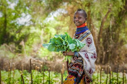 Muchas niñas como Esther pueden tener alimentos gracias al trabajo de sus padres y además pueden vender los excedentes. Es la forma de poder ganarse la vida y de ser dueños de nuevo de su propio futuro. 